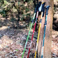 Thumbnail for 5-Section Foldable Trekking Pole – Lightweight Telescopic Hiking & Walking Stick with Carbon Steel Shaft and Foam Grip