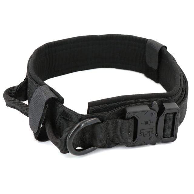 Survival Gears Depot Collars Black Collar / M (34-42cm) Adjustable Tactical Collar & Leash Set